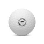 Evolution Dimple Match Ball 2024 — white